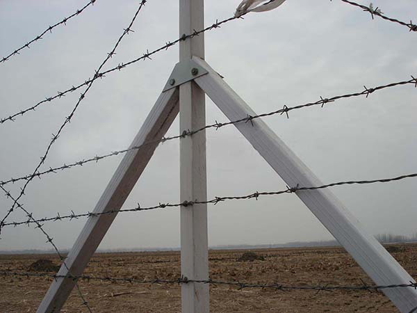 刺鐵絲柵欄圖片1 刺鐵絲柵欄圖片1