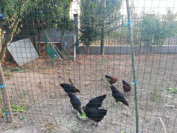 微信圖片_20181021151829