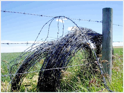 刀片/刺繩護欄網(wǎng)