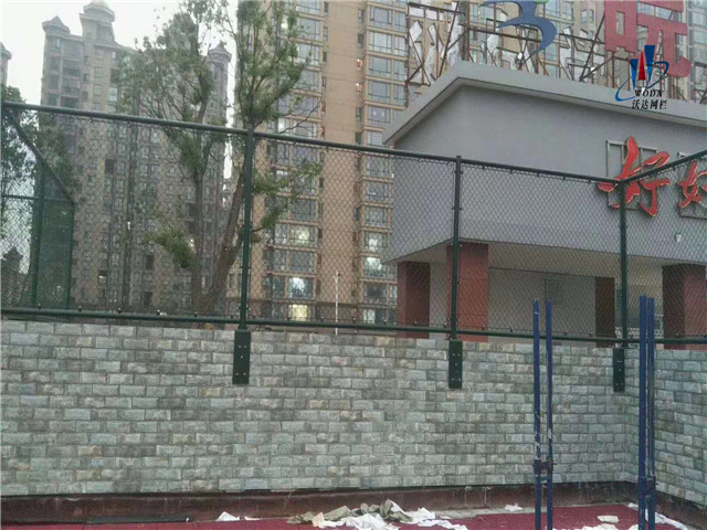 海門安徽皖西當代運動場圍網工程圖片5