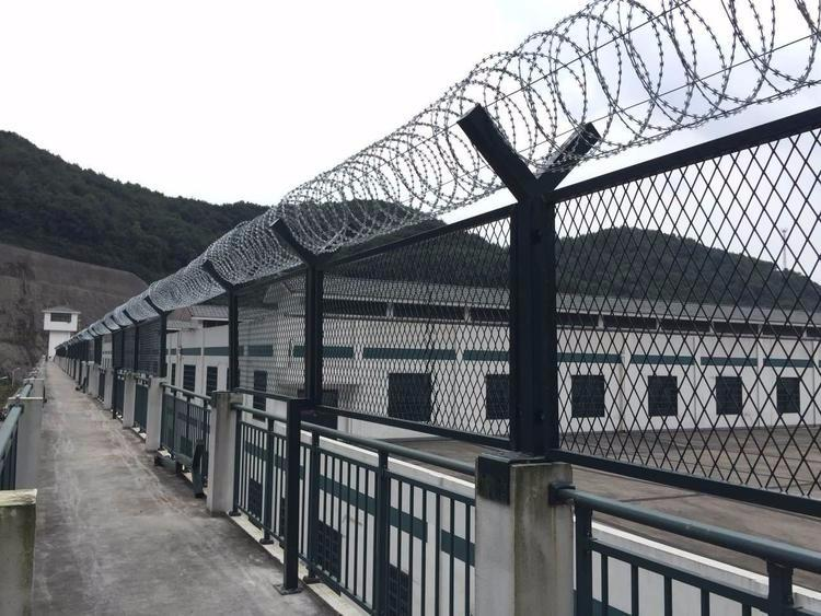 監獄圍網圖片1 監獄圍網圖片1