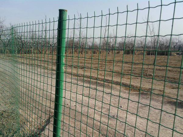 圈地護欄網(wǎng) - 安平縣中澤絲網(wǎng)制造有限公司圖片4